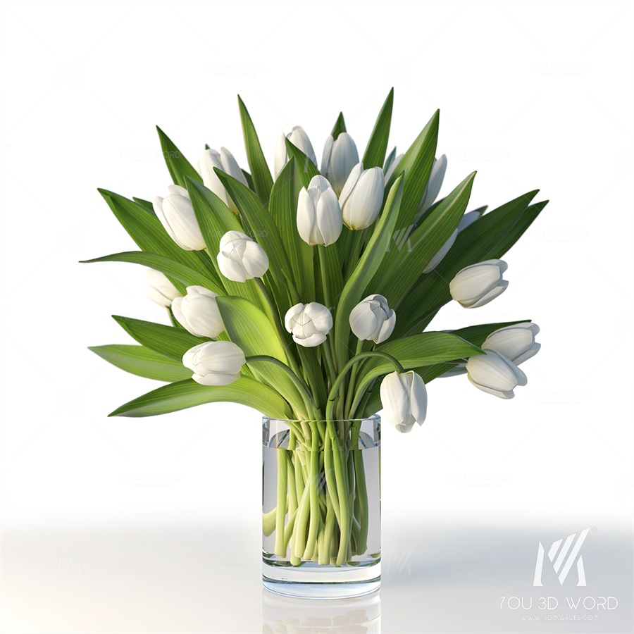 Tulips